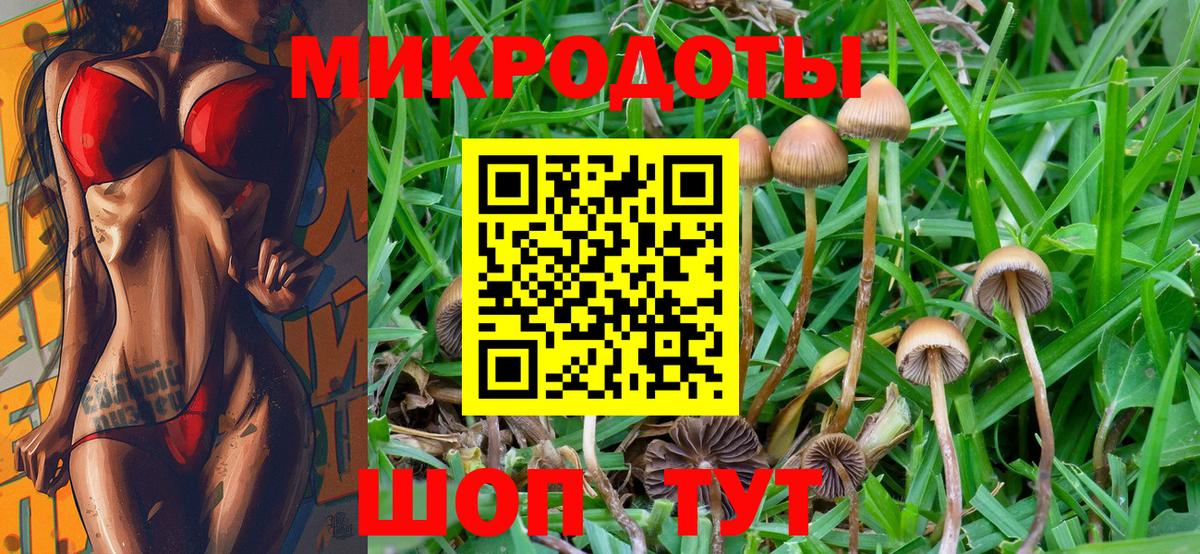 Псилоцибиновые грибы мухоморы  Вход с VPN  цены наркотик  Нижнекамск 